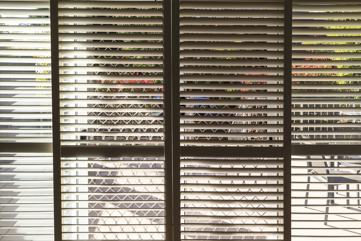 window