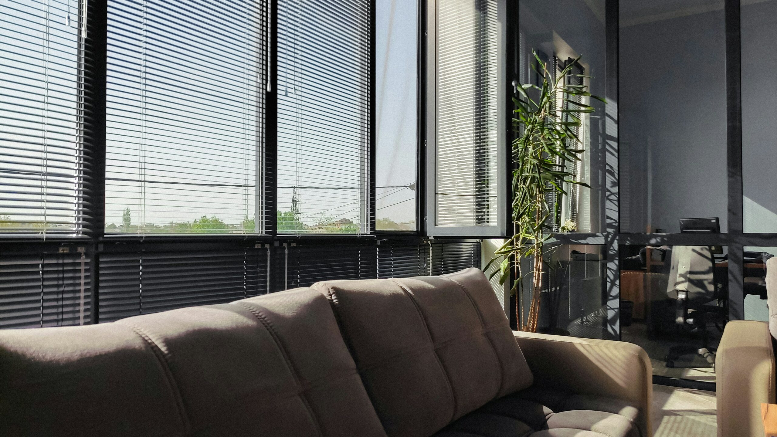Modern Window Blinds